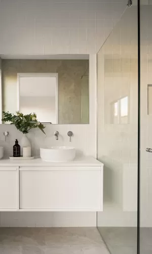 Modern bathroom with a glass shower, white vanity, round sink, and large mirror, decorated with plants